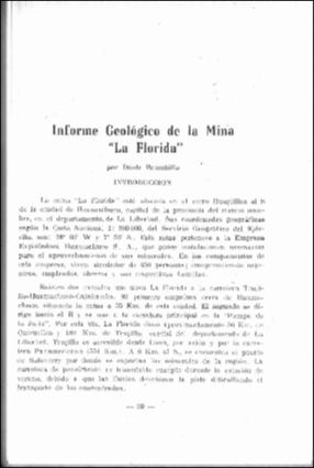 Brambilla-Informe_geologico_Mina_LaFlorida.pdf.jpg