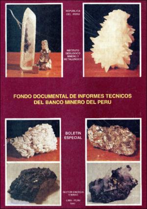 Fondo_Doc_Informes_Tecnicos-Banco_Minero-1993.pdf.jpg