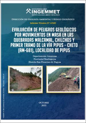 A7307-Evaluacion_pelg.geolg_mm_qbda.Malcamal-Amazonas.pdf.jpg