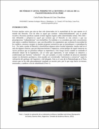 Piedra-Fosiles_leyes_paleontologia_Peru.pdf.jpg