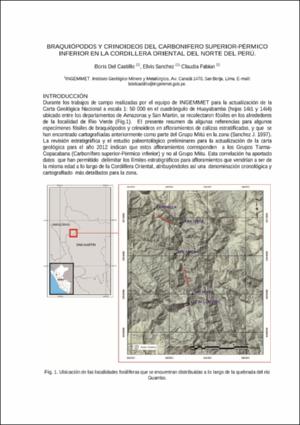 Del_Castillo-Braquiópodos_crinoideos_del_Carbonífero.pdf.jpg
