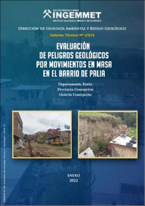 A7215-Eval.peligros_mov.en.masa_Barrio_Palia-Junin.pdf.jpg