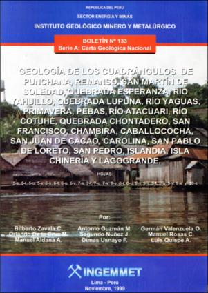 A-133-Boletin_Punchana-Remanso-San_Martín_de_Soledad-Quebrada_Esperanza-Río_Ahuillo-Web.pdf.jpg